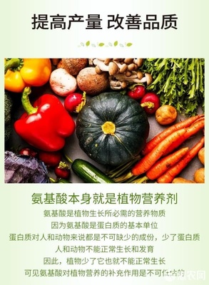 微生物有機肥與氨基酸肥料的協同創新 復合氨基酸原粉、水溶肥及葉面肥的生物有機肥料研發