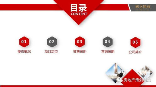 房地產(chǎn)營銷策劃全流程提案與信息咨詢服務