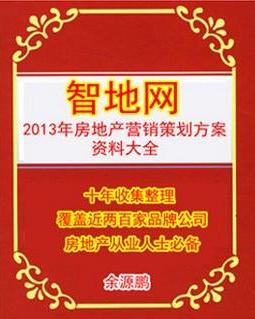 房地產(chǎn)營銷策劃與信息咨詢全攻略 從策略到執(zhí)行