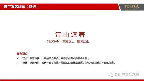 房地產(chǎn)營銷策劃與信息咨詢一體化解決方案