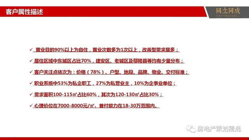 房地產(chǎn)營(yíng)銷策劃與信息咨詢?nèi)娼鉀Q方案