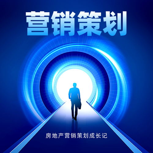 房地產(chǎn)營(yíng)銷策劃成長(zhǎng)記 從拓荒時(shí)代到精細(xì)化運(yùn)營(yíng)的蛻變之路